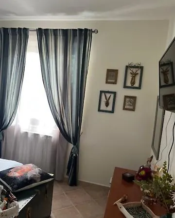 Non Usare La Casina Di Sandro *