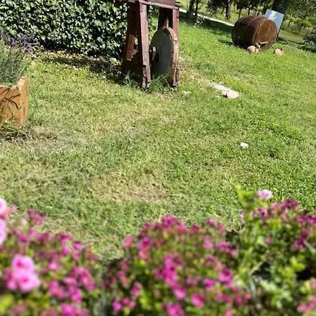 Non Usare La Casina Di Sandro *
