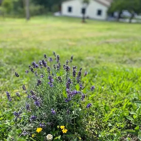 Non Usare La Casina Di Sandro Maison d'hôtes