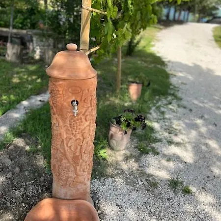 Non Usare La Casina Di Sandro