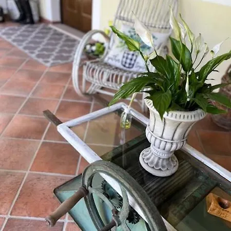Non Usare La Casina Di Sandro Maison d'hôtes