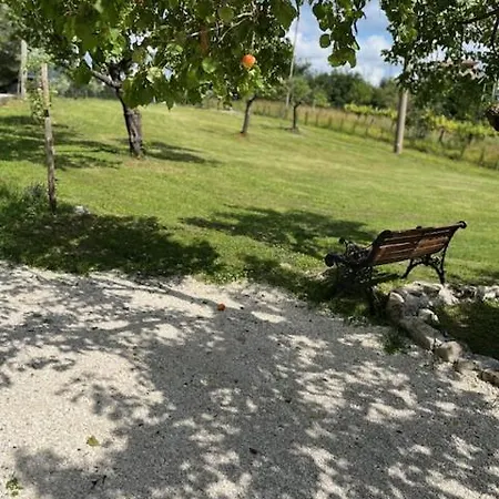Non Usare La Casina Di Sandro *