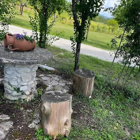Non Usare La Casina Di Sandro